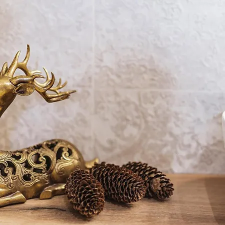 Jedlina מלון דירות 3*